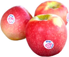 Apple - Pink Lady (Cripps)